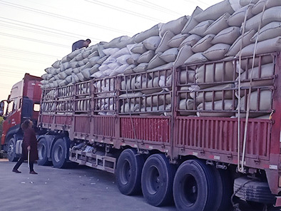 �UƷ���Ճr�������B