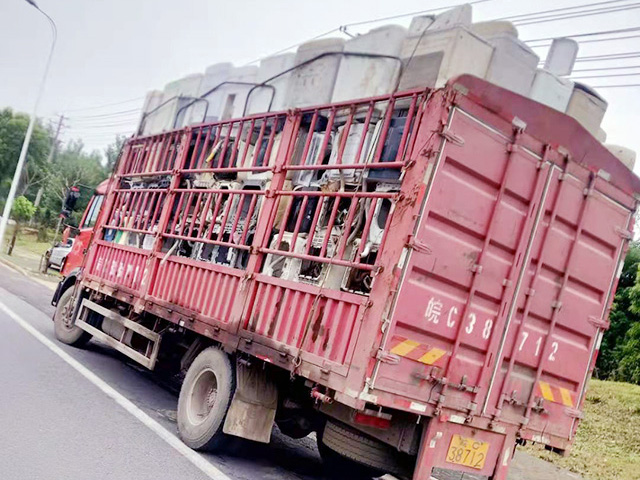 �U�f�O������Ј��F��